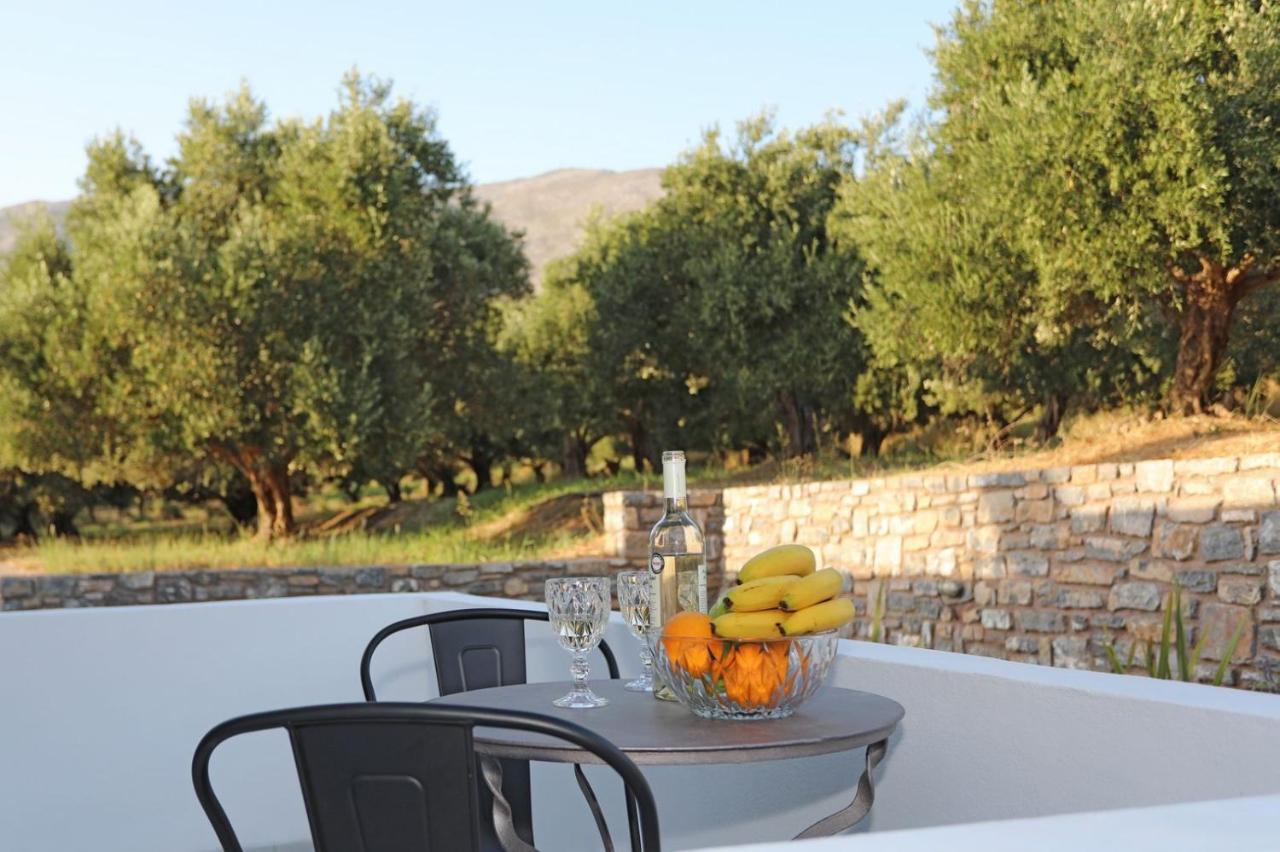 Villa Drosia - Nature Getaway! Plakias Extérieur photo